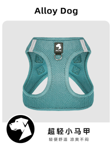 AlloyDog Chest Strap Dog Leash Cute Pet Vest Style Harness for Small to Medium Size Dogs Spring Summer Dog Walking Harness