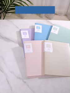 File Lá A4 Màu Pastel – 30/60 Lá Thiết Kế Dễ Thương Dùng Lưu Trữ Giấy Tờ Tài Liệu Bài Học Hồ Sơ Văn Phòng