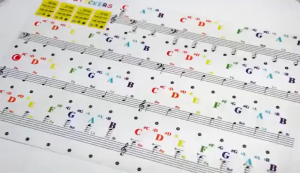 Rixton Piano Keyboard Stickers for 37/49/54/61/88 keys Transparent Detachable Music Decal Notes Piano Stickers for Hand Roll Piano Eelectric Piano for Kids Beginner Learning(Piano Keyboard Stickers)