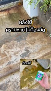 1 แถม 1 ผงกำจัดตะไคร่น้ำ สูตรเข้มข้น ระเบิดตะไคร่น้ำ คราบฝังลึก ไม่ต้องขัด สำหรับพื้นปูน พื้นผิวภายนอก ผนัง กำแพง