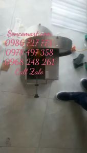 Máy thái lát quả sung giá rẻ