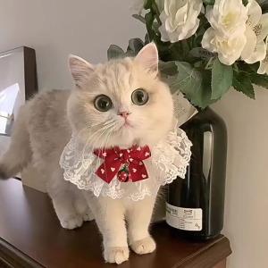 SKISOPGO Pet Lace Collar Cats and Dogs Collar Accessory Bib Decor Pet Necklace Princess Style Tali Kucing