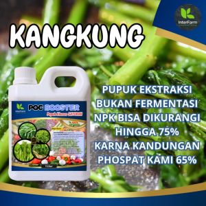 INTERFARM POC Booster Pupuk Cair Organik untuk Sayuran dan Kangkung - Kaya Nutrisi Efektif & Hemat