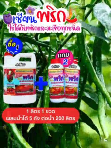 เซียนพริก ซื้อ 1 แถม 2 พริกติดดอก ผลดก ขั้วเหนียว สีสด รสดี เนื้อหนา น้ำหนักดี ปุ๋ยพริก ยาฉีดพริก ฮอร์โมนพริก