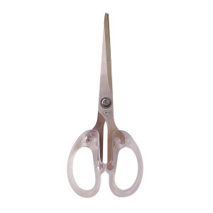 Simple Transparent Student Scissors