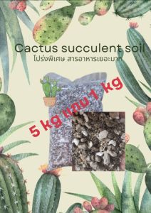 ดินปลูกกระบองเพชร แคคตัว