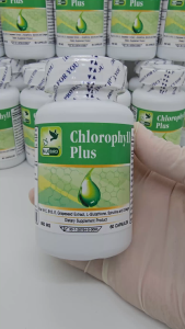 คลอโรฟิลล์ Chlorophyll Plus ตราบลูเบิร์ด ขนาด 600 มิลลิกรัม 60 แคปซูล