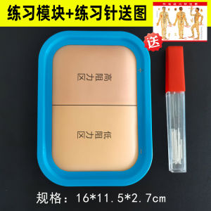 Acupuncture Practice Kit Realistic Skin Model for Traditional Chinese Medicine Students Needles Handling Set for Beginners