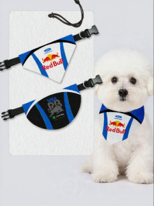 LEXI | Racing Inspired Formula 1 Pet Bandana