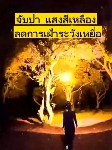 คลิปไฟฉายคาดหัว แท้ LED ส่องแสงระยะ8KM ไฟฉายคาดหัว ไฟส่องกบ ไฟฉายคาดหัวแท้ ไฟส่องสัตว์ ไส้ตะเกียง L9 ไฟฉาย คาดหัว ดีไซน์กันน้ำ แบบเตอรี่ รับประกัน 5 ปี ศูนย์ไทย