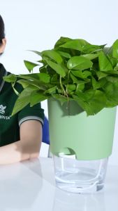 Chậu tự tưới trong suốt MONROVIA A712 cho cây cảnh hoa bonsai để bàn decor ban công