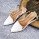 Salvina_Collection
