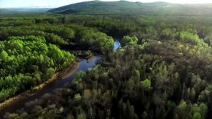 FOSSiBOT F106 PRO Rugged Smartphone Android 14 15GB+256GB Mobile Phones 6.58”FHD+ 12000mAh 20MP Night Vision Cell Phone On Sale