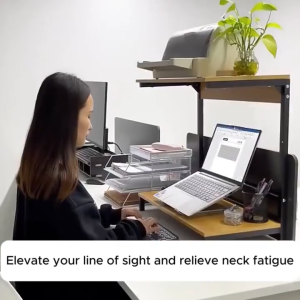 Multi-layer Desktop Computer Desk Storage Rack Simple Convenient Height Stand Base Bracket with Printer Storage Space