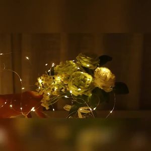 OSIDEN | 5M/10M USB Fairy String Lights USB Copper Wire Garland With 8 Lighting Modes Remote Control For Living Room Bedroom Home Decor