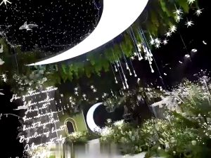 【Free Gift + Ph Local】10PCS Wedding Ceiling Decoration Lamp Sea Urchin Chandelier Crystal Luminous Transparent Bird Warm Light Wedding Scene Layout Props