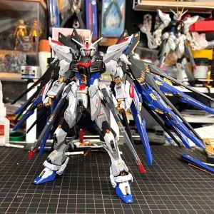 Gundam Unicorn Destiny Astray Red Frame HG Strike Freedom MG Toy