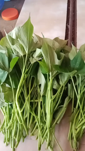 Murah 1 kg Daun Ubi Segar / 500 gram Daun Umbi Jalar Segar Pelengkap Sayuran dan Lalaban Premium