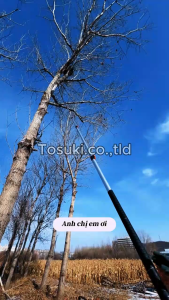 sào nhôm carbon rút dài 10m Tosuki - thanh sào oval kết nối dụng cụ làm vườn làm việc trên cao