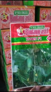 RENES F1 BINTANG ASIA Benih Bibit Biji TIMUN MENTIMUN KETIMUN - 10Gr Kemasan Asli Cap Bintang Asia Terlaris KANSAI F1-SUKOI F1
