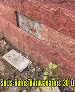 กาว 9900 กันน้ำ กาวซิลิโคน ทนต่อความร้อนได้ดี เพื่ออุดรอยแตกรั่ว ในบ้านและใช้กลางแจ้ง