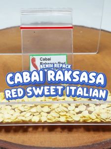 Benih Cabai Raksasa Red Sweet Italian Unggulan Berkualitas