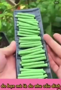 QUE DINH DƯỠNG CÂY TRỒNG TAN CHẬM STRONG GROW | COMBO 2 HỘP 36 QUE | CẮM LÀ DÙNG | NPK 15-15-15