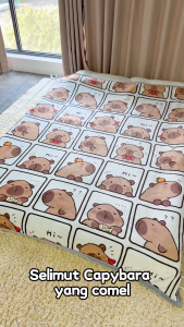 YANYANGTIAN Milk Plush Blanket Nap Shawl Sofa Blanket Student Dormitory Office Air Conditioning Small Blanket For Bed