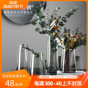 Modern Minimalist Mouth Gold Vase Decoration Living Room Flower Arrangement Glass Transparent Water-Keeping Home Nordic Slightly Luxury Decoration