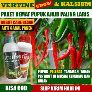 Paket 1 Botol VERTINE GROW & 1 Botol VERTINE CALS Pupuk Pelebat Buah Cabe Tanpa Hama dan Penyakit di Musim Hujan - Obat Lengkap Anti Hama Cabe Tumbuh Subur Tanpa Layu Pupuk Cair Lengkap Cabe Terbaik Anti Patek Layu dan Busuk