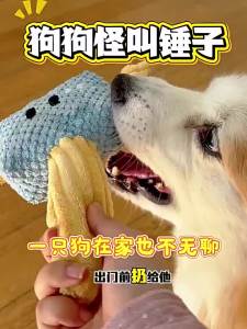 1× Creative Plush Hammer Dog Toy Wear-resistant Soft Pet Squeaky Toy Bite-resistant Portable Plush Tug-of-war Grinding Teeth Toy