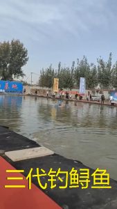 (Tặng Ngọn Phụ) Cần Câu Tay Tầm Xanh Thế Hệ 3 Độ Cứng 20H Chuyên Săn Hàng Tải Cá Cao