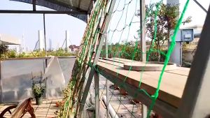 Plant Climbing Net Garden Net Trellis Net Durable Nylon Net Support for Climbing Vine Plants