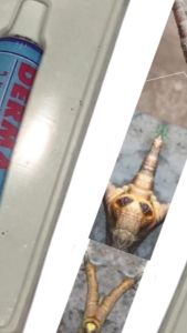 BÔI KÉ CHẬU - LẬU ĐẾ-THỐI ĐẾ LỌ 10g giúp tái tạo da- lấp đầy khoảng trống -chống viêm kháng khuẩn -không nhiễm trùng ở gà đá- gà tơ- gà nòi