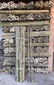 ไม้ไผ่ลำ/สำหรับทำด้ามไม้กวาด ยาว120เซนติเมตร