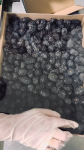 Premium Ajwa Dates 5KG - Halal & Gluten-Free Dried Fruit Snack