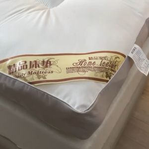 Single/Double/Queen/King Size Bed Foam Tatami Mattress Topper Comfortable Velvet Tatami Topper Banig Folding Foam Mattress