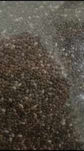 ORGANIC CHIA SEEDS  1 KG - (UTUH)