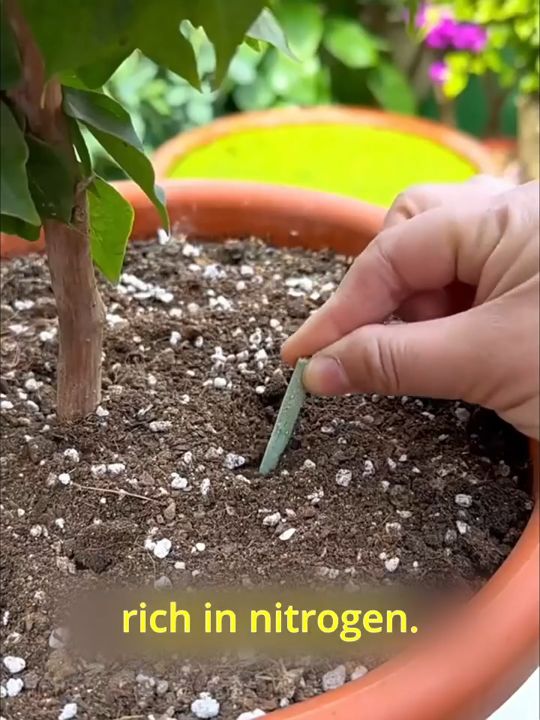 German Plants Fertilizer Stick 6 In 1 Garden Soil Fertilizers For