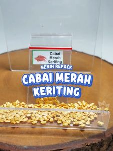 Benih Cabai Merah Keriting Unggulan berkualitas biji bibit sayuran sayur hydroponik hidroponik