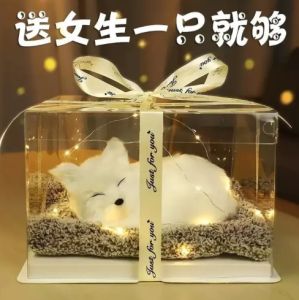🔥七夕送礼🔥Birthday gifts girls give girlfriends girlfriends and mothers practical and creative 520 advanced ceremonial Christmas gifts 可爱宠物生日礼物女七夕情人节
