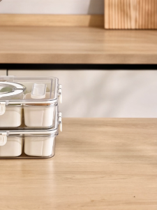 Multi-Compartment Food Storage Container with Transparent Lid and Handle for Travel and Picnic