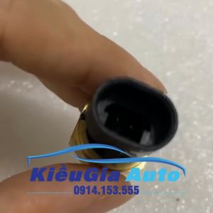 Cảm biến nhiệt độ nước Chevrolet Captiva 2007-2012