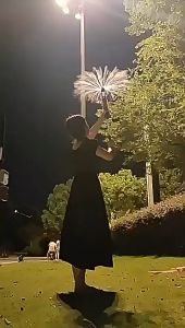 ปืนฉีดน้ำ ของเล่นพลุและปืนฉีดน้ำ ฤดูร้อนของเล่นแบบใหม่ คู่รักถ่ายรูปใต้ไฟถนน ปืนฉีดน้ำดอกไม้ไฟโรแมนติก