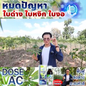 โดสเเวค [1ขวด] เสริมการต้านทานโรคพืชDose กระตุ้นการสร้างภูมิคุ้มกัน เชื้อโรค เชื้อรา แบคทีเรีย ไวรัส ส่งของทุกวัน ส่งฟรี