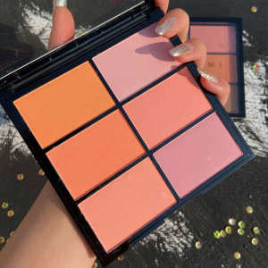 ✴Blush plate high-gloss cosmetic one-piece plate six-color makeup artist special nude makeup natural matte orange gray pink rouge♧