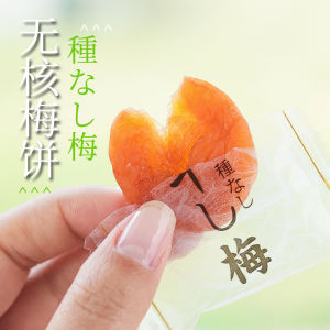Zhaian Special Product Japanese Style Plum Cake Original Flavor No Kernel Sour Sweet Dried Plum Meat Maternity Snacks Individually Packaged