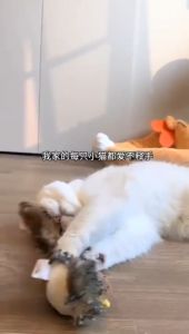 Cat Toy With Bird Chirping Sound When Touch Interactive Cat Toy With Feather