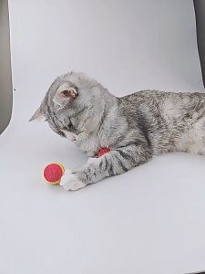 Mainan Bola Kecil Interaktif & Atraktif Untuk Kucing & Anjing