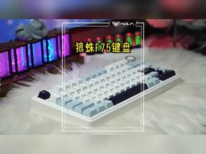 AULA | Aula F75 75% Mechanical Keyboard Wireless Hotswap Gaming Keyboard with 5-Layer Padding Knob Control Wireless/2.4G/USB-C & RGB